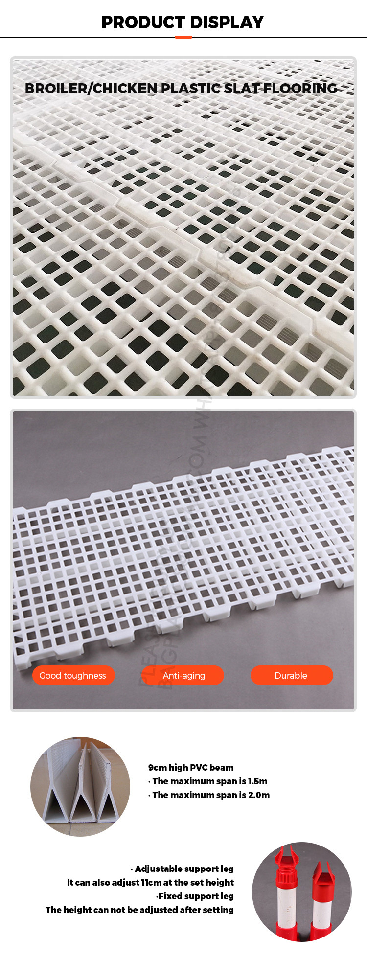 Poultry Farm High Quality Adult And Baby Chicks Poultry Slats baby chicks poultry slats