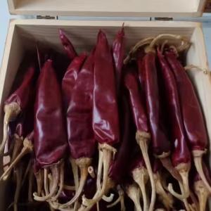 Wholesale JINTA Red Chilli Peppers Air Dried to Preserve Nutrients from china suppliers