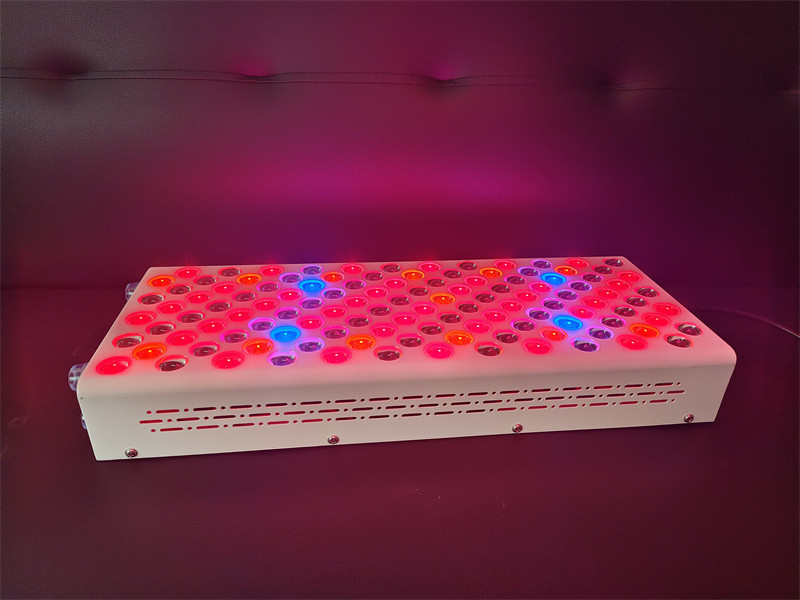 Home Use 8 Wavelength Full Body Red Light Therapy Panel 600w