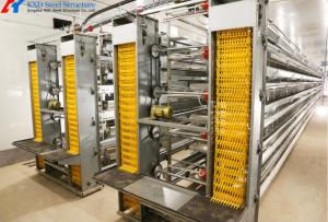 Wholesale Anti Corrosion Automatic Layer Battery Chicken Cages For Africa Agricultural Poultry Farming from china suppliers