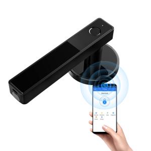 Wholesale ROSH Indoor Fingerprint Lock For Household Bedroom Wooden Door from china suppliers