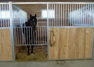 Wholesale Farm Outdoor Portable Horse Stall Panels , 2200mm Height Horse Stable Gates from china suppliers