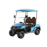 Affordable 2 Seat Electric Golf Buggy Perfect for Family and Hunting on the