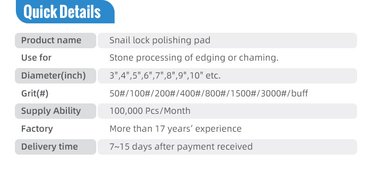 OBM Support Stone Grinding Wheel Snail Lock Edge Polishing Pad for Granite Slabs Grinding