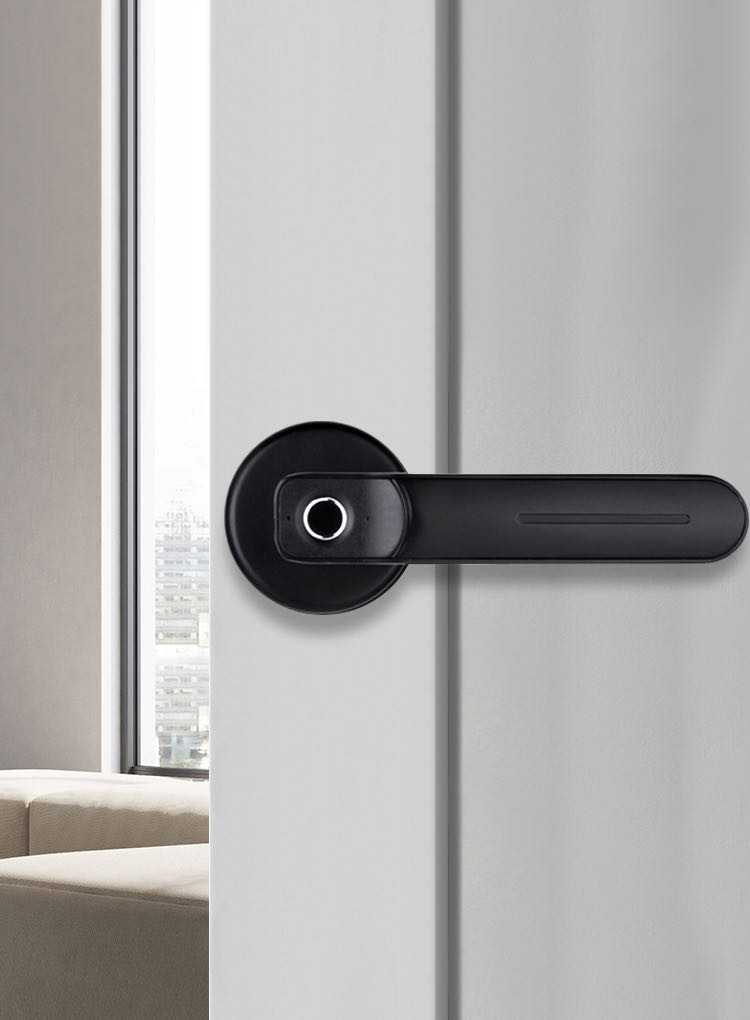 Office Keypad Password Biometric Fingerprint Door Locks