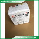 Industrial 6.7 Cummins Water Pump C4891252 High Pressure Long Service