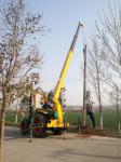 Low cost of hole tree planting digger machine for sale