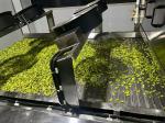 Corn Starch Fava Bean Snack Seaweed Taste Baked Broad Beans Snack