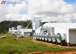 Wholesale Prefab Steel Structure Chicken Building Shed Broiler Fatten Poultry Farm House from china suppliers