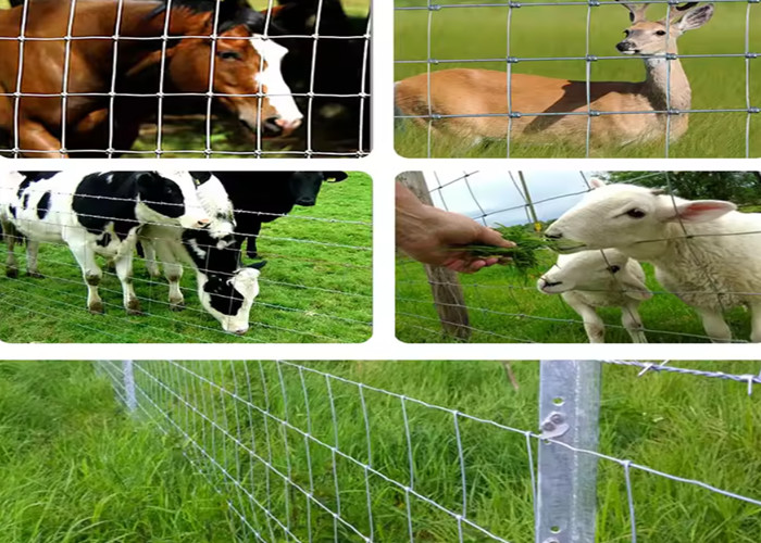 Galvanized Iron Wire Farm Mesh Fence Silver Color With Hot Dipped Zinc Coating For Easy Installation