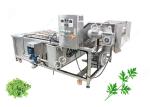 Leaf Vegetable Washing Machine Fruit And Vegetable Processing Equipment Without