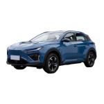 Small SUV Pure Electric Motor Power SUV NETA X Electric SUV 500km EV Range 4619
