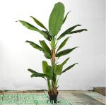 Artificial Banana Tree 6ft Tall 22 Large Leaves Triple Stalk Faux Banana Silk