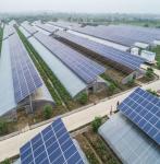 Hydroponics and Soilless Cultivation Multi-Layer Greenhouse jx-SG-6 with Heat