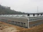 Sound Insulation PC Rigid Plastic Sheets Greenhouse Grade B1 Retardant Standard