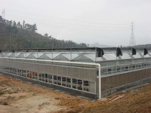 Sound Insulation PC Rigid Plastic Sheets Greenhouse Grade B1 Retardant Standard