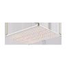 Buy cheap Customized Spectrum 3000K 660nm Quantum Board Light from wholesalers