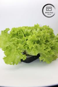 Wholesale Artificial Garden Vegetables and Fruits Plastic Seedling Trays Perfect for Decoration from china suppliers