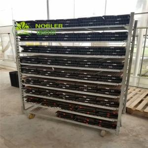 Wholesale Flower Frame Seedling Cart Danish Plant Trolley Hot Galvanizing from china suppliers