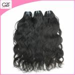 Hot Selling Virgin Indian Remy Wavy Hair Natural Wave Top Grade Indian Virgin