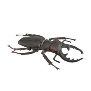 Wholesale Insect Figures Model Toy Sorbus Serrata Figurines Party Favors Supplies Cake Toppers Decoration Set Toys from china suppliers
