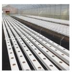 Ventilated Hot Dip Galvanized Steel Tube Frame Tunnel Agriculture Film
