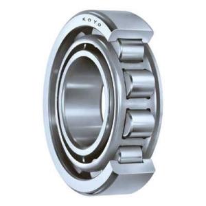 Wholesale Agricultural Machinery High Precision Roller Bearing NJ213 GCr15 from china suppliers
