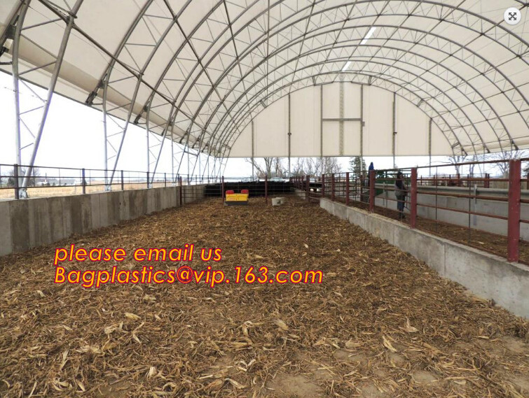 Monofilament Knitted 100% virgin HDPE Material Transparent Anti hail Netting,Polyester fiberglass anti insect net for in