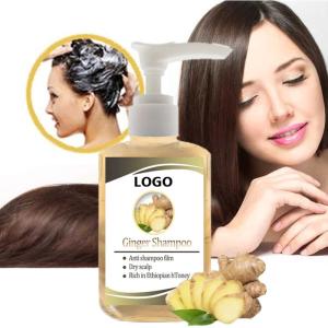 Wholesale Smoothing Private Label Custom Vegan Hair Care Treatment Products Hair Growth Organic Anti Hair Loss Ginger Shampoo And Conditioner Set from china suppliers
