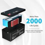 OEM ODM LiFePO4 lithium battery 12V 200Ah Lithium Battery Customized battery