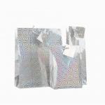 Unique Design Holographic Paper Shopping Bags / Paper Carrier Bags Hot - Stamp
