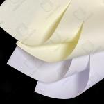 High Quality Woodfree Printing Paper White Bond Paper For Offset Printing