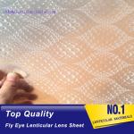 PLASTIC LENTICULAR 3d fly-eye plastic sheet material Spherical lenticular
