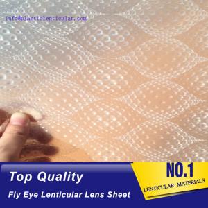 Wholesale PLASTIC LENTICULAR dot lens sheet both sides dot lenticular 360 3d lens sheet imported from Korea from china suppliers