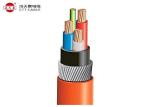 Low Smoke Zero Halogen Cable 0.6/1kV Cu/XLPE/LSZH Armoured Cable with Copper