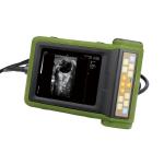 Ultrasonic Medical Hospital Equipments Digital B Mode Veterinary RKU10