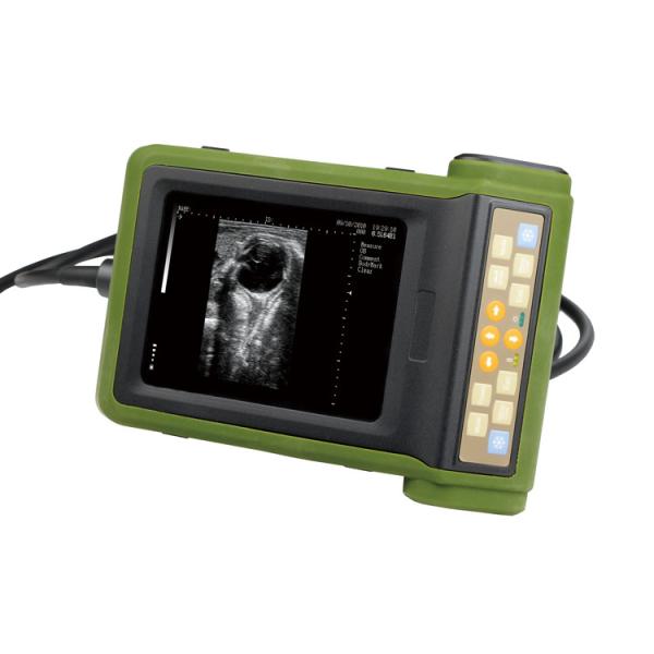 Ultrasonic Medical Hospital Equipments Digital B Mode Veterinary RKU10