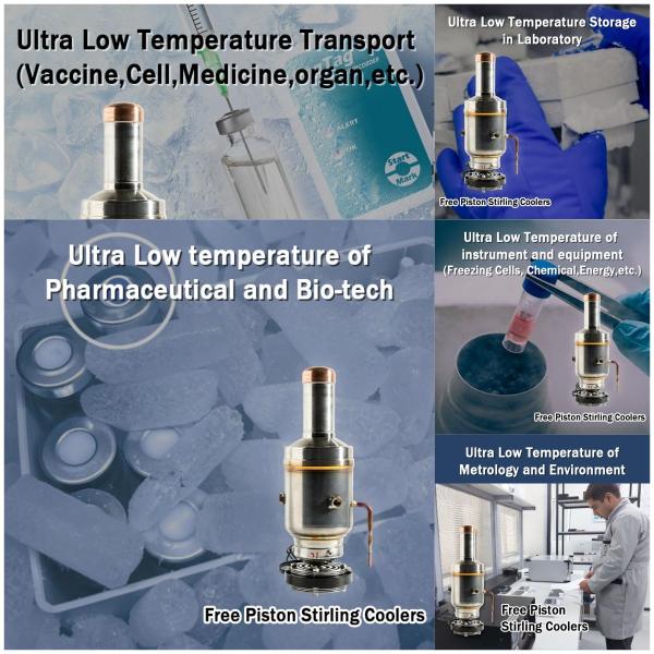±1C Temperature Control -45C 25L Low Temperature Deep Freezer for Vaccine Storage