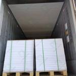 Premium Thermal Paper / NCR Paper / Carbonless Paper Rolls For Receipts And