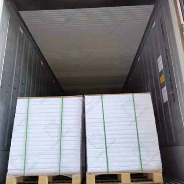 Premium Thermal Paper / NCR Paper / Carbonless Paper Rolls For Receipts And