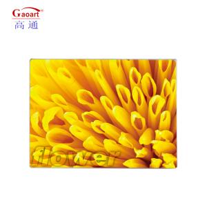 Wholesale Clear Logo Sublimation Cutting Board for Vegetable and Cheese Made of Tempered Glass from china suppliers