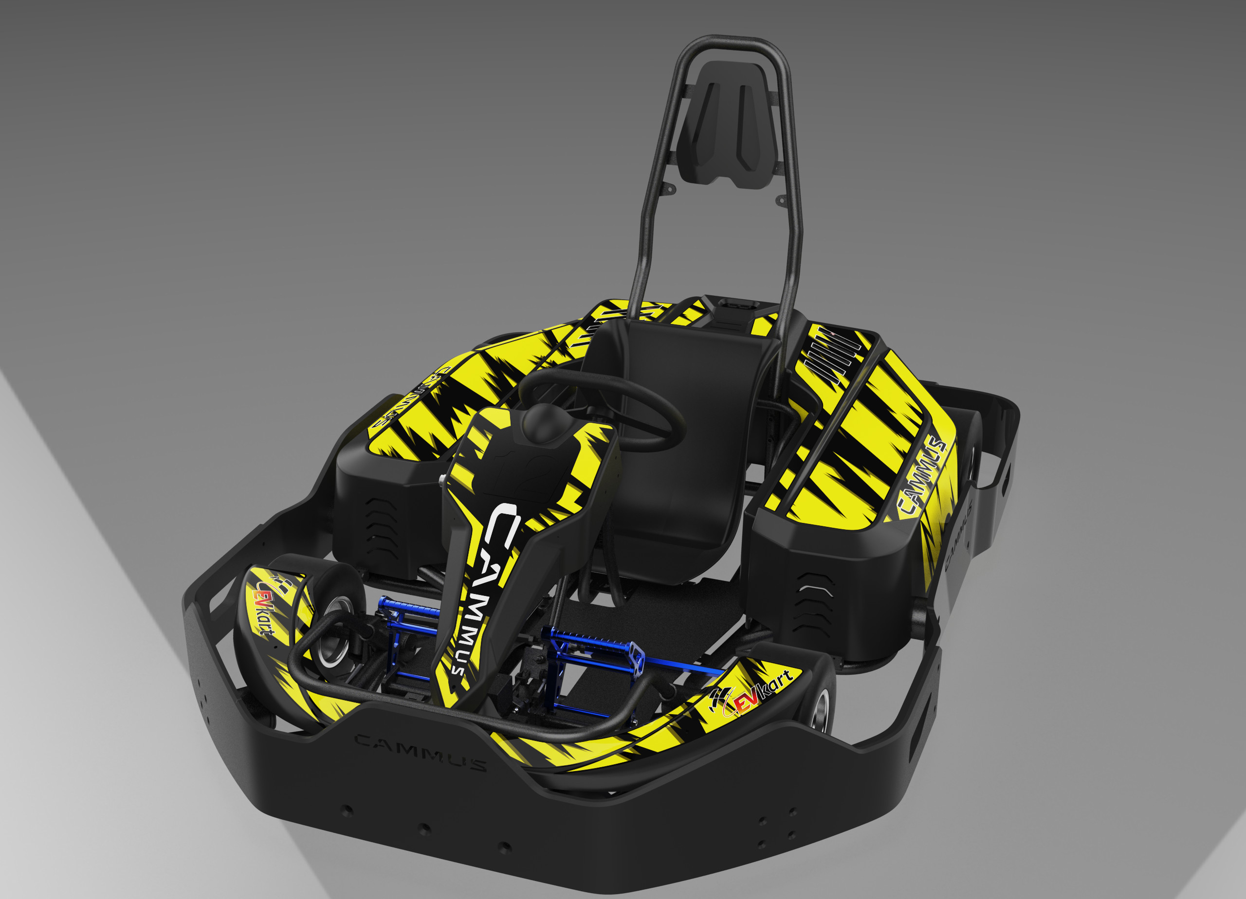 Electric Kids EV Go Kart Motor Power 750w with 5inch Wheel Hub
