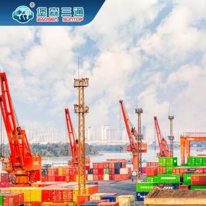 Wholesale EXW Sea Freight Forwarder , Global Freight International FCL LCL To Middle East from china suppliers