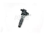 OEM 27301-3C000 Ignition Coil For Hyundai Equus Centennial Kai Opirus
