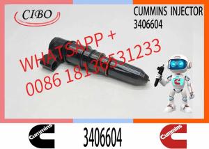 Wholesale 3064881 3406604 for Cummins M11 Diesel Engine Fuel Injector 3064881 3406604 from china suppliers
