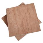 Customize 15mm E0 Glue Bintangor Plywood For Apartment