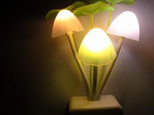 Wholesale Mushroom night light decorate room/mushroom night light for gift from china suppliers