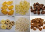 Roasted Corn Flakes Food Production Equipment , Food Manufacturing Equipment