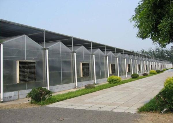 Garden Flowers PC Sheet Greenhouse , Farm Vegetables Flowers Multi Span