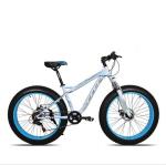 Disc Brakes Aluminum 26 Inch Kids Fat Tire Bike